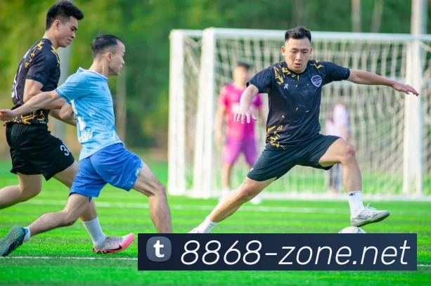 8868体育APP 封面图